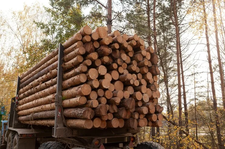 grume-camion-de-25-steres-1-1.webp